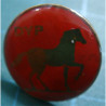 DYP PİN